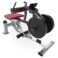 Life Fitness Plate Loaded Calf Raise