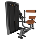 Insignia Back Extension