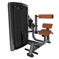 Insignia Back Extension