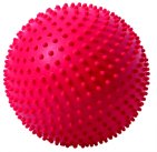 Spiky Catch Training Ball