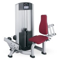 Life Fitness Signature Series Calf UFZCE