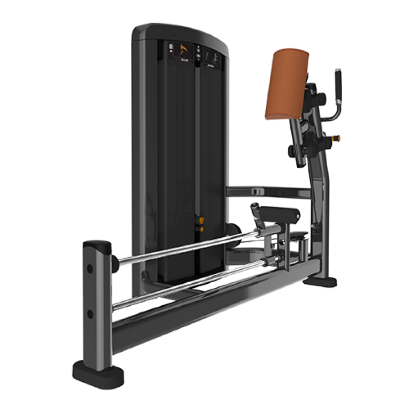 Insignia Glute