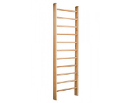 Training and Swedish Ladders