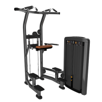 Insignia Assist Dip Chin