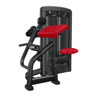 Insignia Curl - Dependent