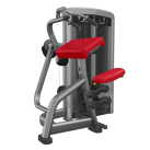 Insignia Triceps Extension