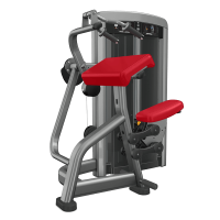 Insignia Triceps Extension