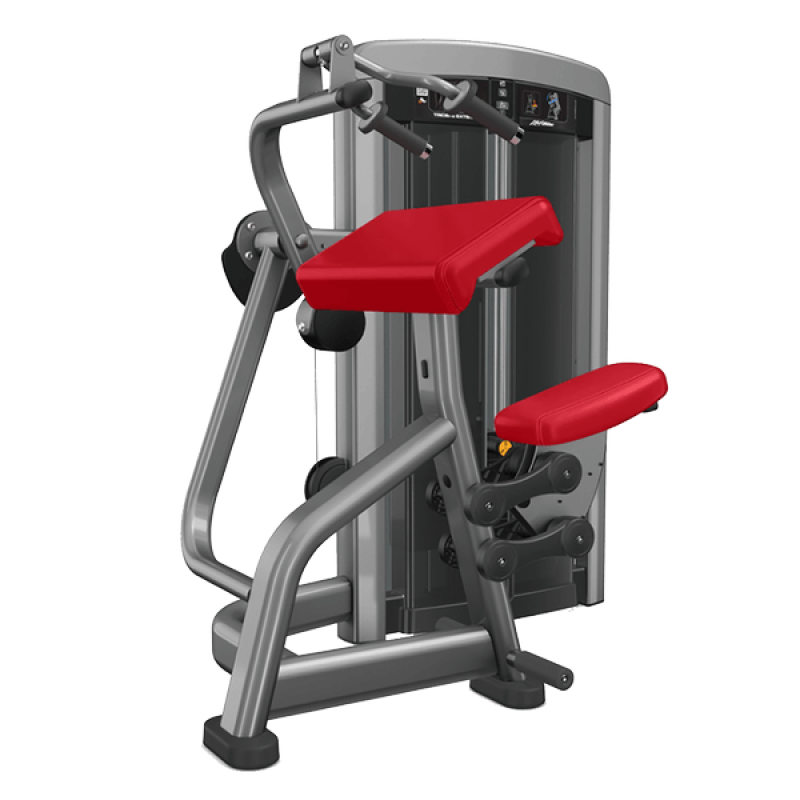 Insignia Triceps Extension