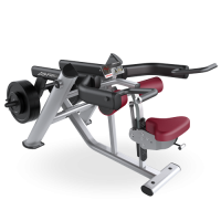 Life Fitness Plate Loaded Seated Dip