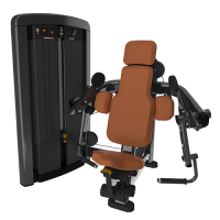 Insignia Biceps Curl