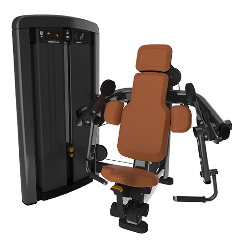 Insignia Biceps Curl