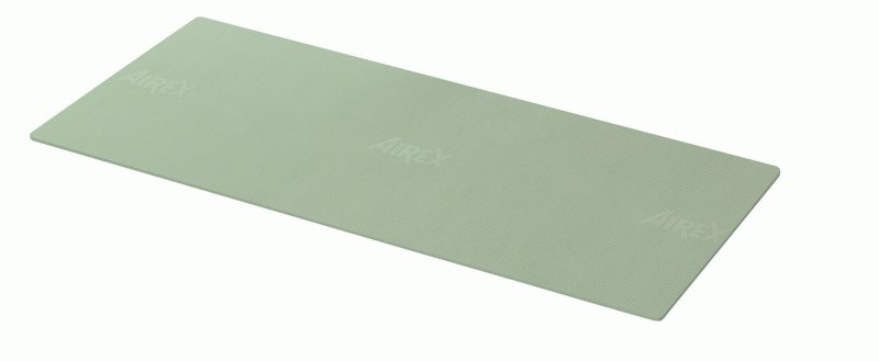 AIREX TrExercise 140 mat