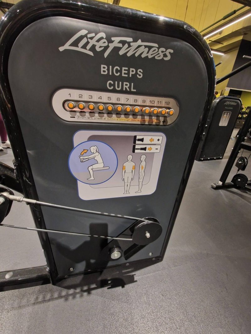 Circuit Series Biceps Curl, used