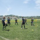 Pro Soccer Volley Net