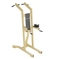 Assisted Pull-Up/Dip Trainer