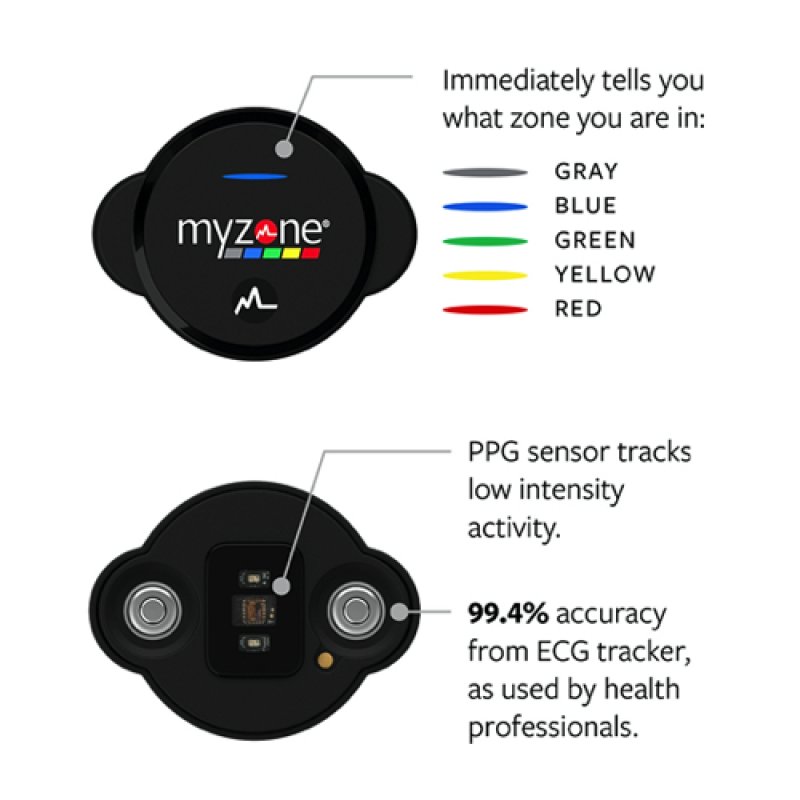 MYZONE MZ-Switch Physical Activity Belt - Medium