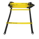 Quick Ladder