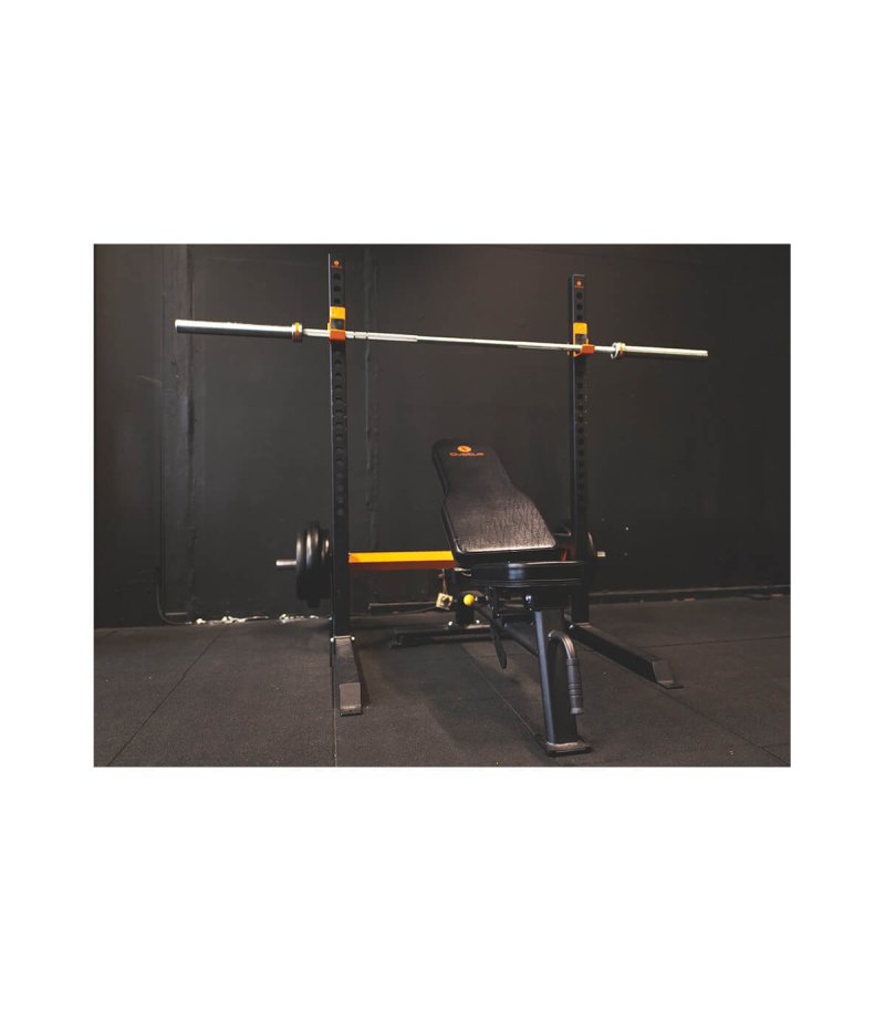 Training bench