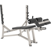 Hammer Strength Olympic Decline Bench
