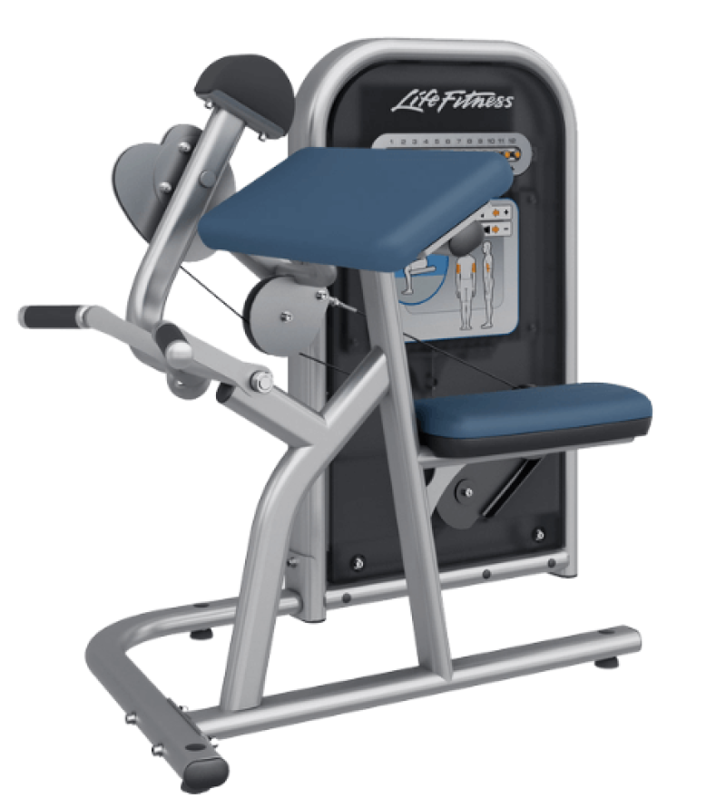 Circuit Series Biceps Curl, used