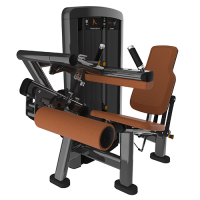 Insignia Seated Leg Curl