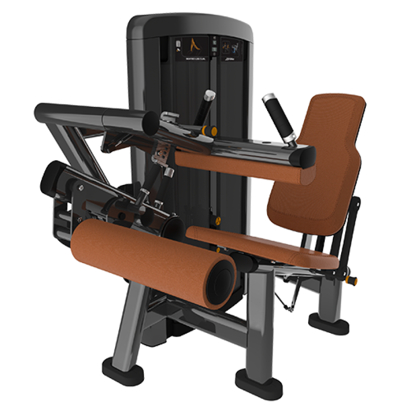 Insignia Seated Leg Curl