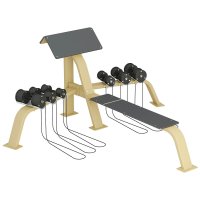 Scott Bench with dumbbells and bench