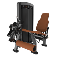 Insignia Leg Extension