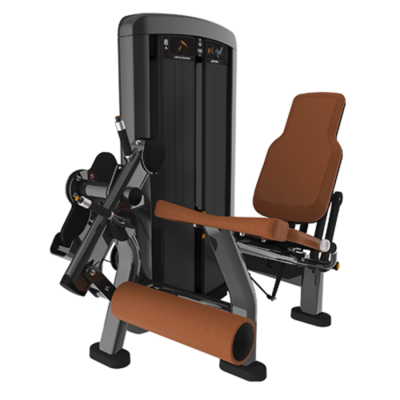 Insignia Leg Extension