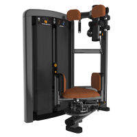 Insignia Torso Rotation